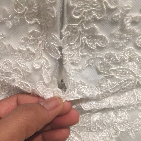 PLUS SIZE ROZ LA KELIN WEDDING GOWN! - Picture 8 of 8